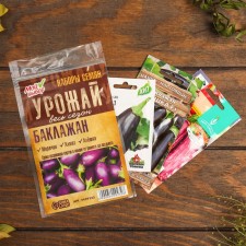 A set of eggplant seeds 