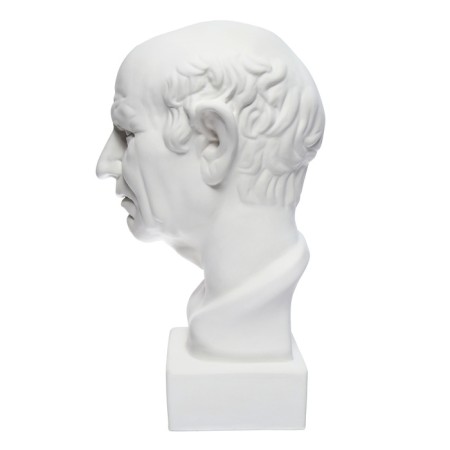 Gypsum figure Roman head, 25 x 25 x 60 cm-6