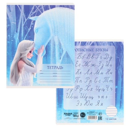 Notebook in a ruler of 12 sheets, 5 types of mix, cover coated cardboard, cold heart-2