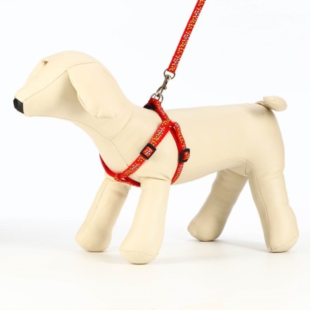 Set "Star Bones", leash 120 x 1 cm, og 23-35 cm, red-2
