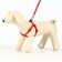 Set "Star Bones", leash 120 x 1 cm, og 23-35 cm, red
