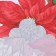 Baby Dolyana "Christmas Flowers" 145*220 cm, 100% p/e