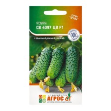 Cucumber seeds 