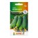 Cucumber seeds "SV 4097 CV" F1 8pcs* Seminis
