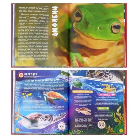 4D encyclopedia in augmented reality "Animal World"-11