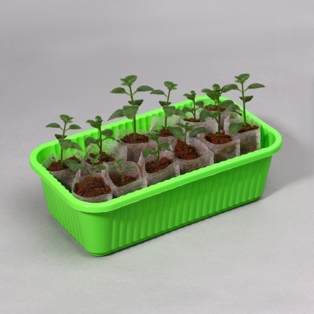 Пакет для рассады, 70 мл, 5 × 7 см, спанбонд плотностью 25 г/м², Greengo-6