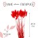 Dry -flowers "Lagurus", set of 30 pcs., Red color