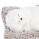 Toy on a car panel, a dog on a pillow, white color