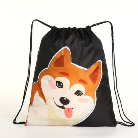 Bag for shoes on the lace, black color