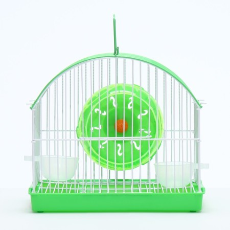 A cell for rodents equipped RT-2C, 23 x 16.5 x 20 cm, green-1
