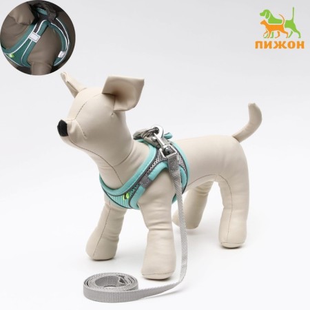 A set with a soft harness, fast-open, XS, leash 150 x 1.5 cm, Osh 29-32 cm, OG 31-34 cm, turquoise