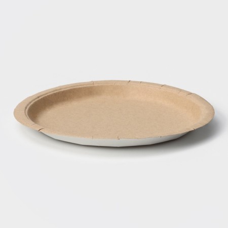 Disposable paper plate "Crafts", D = 23 cm-1