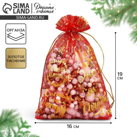 Bag Gift Organza "Happy New Year", 16 x 24 cm +/- 1.5 cm, New Year-1