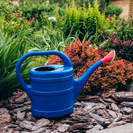 Watering can, 10 l, with a dispatcher, nose d = 35 mm, color mix, "classic"-8