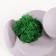 Kashpo concrete "duck" 6x8x5.5 cm gray with moss (moss green stabilized)