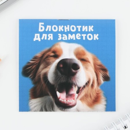 Блокнот 10х10, 16 листов МИКС «Животные»-10