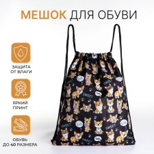 Bag for shoes on the lace, black color