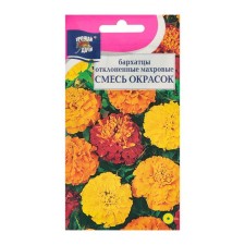 Flower seeds of marigolds rejected 