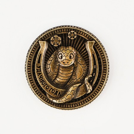 Coin New Year's amulet "New Year: Fairytale year", Diam 2.5 cm-3