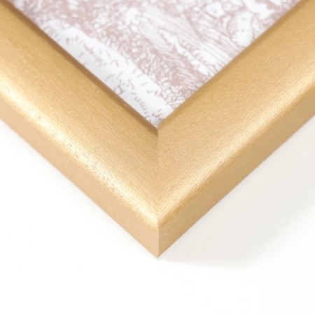 Photo frame pine c19 gold 15x21 cm (plastic screen)-2