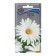 Flower seeds are a large "Alaska" 0.5 g