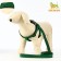Acunition set is embossed, leash 120 x 2 cm, og 44-50 cm, green-black