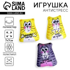 Антистресс «Коты», 7×7 см, МИКС