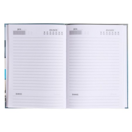 The diary of a low -up A5 136 sheets, integral cover, matte lamination, selective varnish "Collage Inter"-2