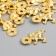 Souvenir Metal "Cash toad with coin" gold 2.4x3.8 cm