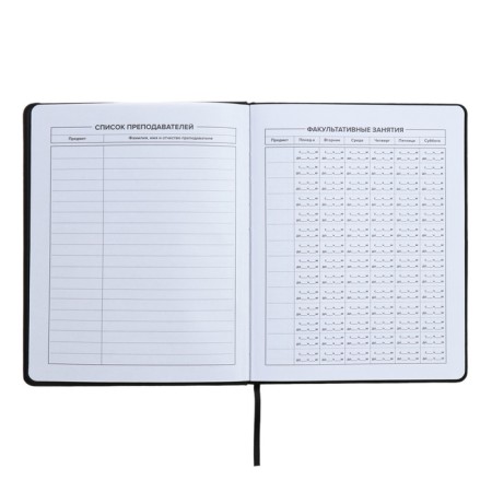 Universal Diary 1-11 grade, 48 sheets "Original", solid cover of artificial leather, embossing foil, liesse, universal cheat sheet, block 80 g/m2-5