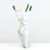 Rosa seedling Siviv Spring 2024, 1 pc.