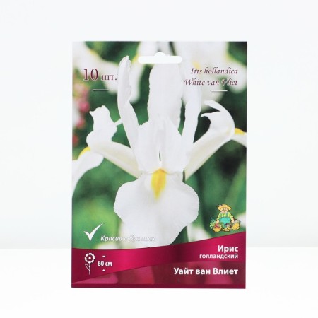 Iris Dutch White Van flows, rr 6/7, 10 pcs, spring 2025