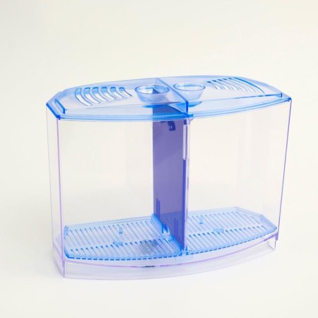 Two -sectional aquarium, with soil and 2 plants