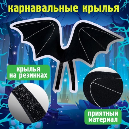 Carnival set of "Dragosha": wings and hat-2