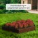 The flowerbed is galvanized "trapezoid", d = 100 cm, h = 15 cm, brown, Greengo