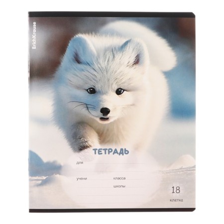 Notebook of 18 sheets in the Erichkrause “Fluff” cage, covered cartoon, OFSET block, mix-2