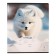 Notebook of 18 sheets in the Erichkrause “Fluff” cage, covered cartoon, OFSET block, mix