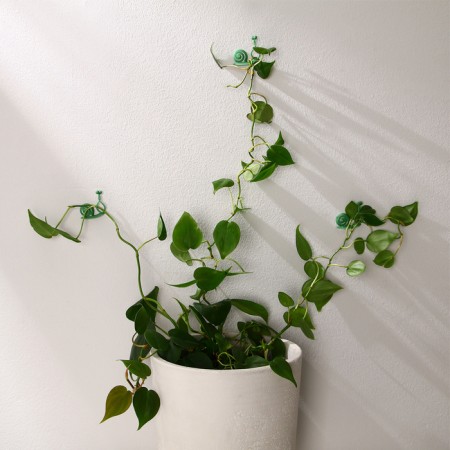 Fastards for climbing plants, wall, self -adhesive, “snail”, d = 10 mm, Greengo-2