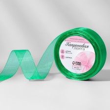 Kapron tape, 20 mm, 20 ± 1 m, green color No. 19