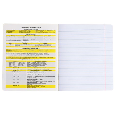 Subject notebook, 48 sheets, ruler, Russian language, Erichkrause "BENFORMED", plastic cover silk-screen cover, Bloc Offset Beliece 100%, information block-3