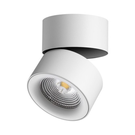 Groda lamp, 25W LED, 4000K, 2200LM, white color