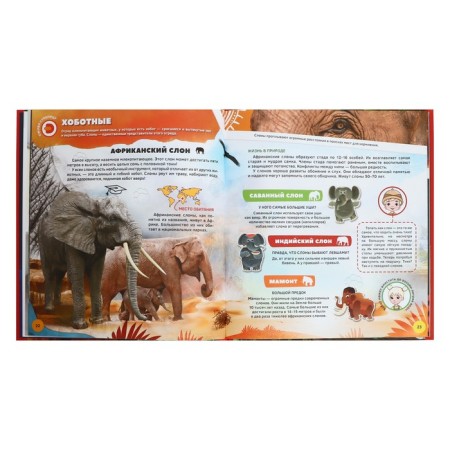 4D encyclopedia in augmented reality "Animal World"-4