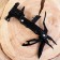 Multitul 13V1 with pliers and a divorce key, black