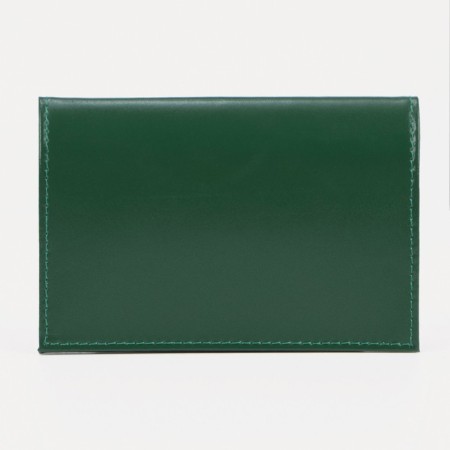 Cover for passport, green color-1