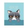 Notebook of 48 sheets in the Calligrata Top Cat "Cat Mem", cover coated cardboard, glossy lamination, selective twin-lame, offset unit, whitewash 95%, mix