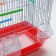 Poultry cell is equipped BD-1/2Q, 30 x 23 x 39 cm, red