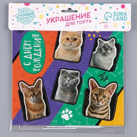 Topper cardboard on a substrate with a wire "cats"-4