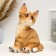 Pig a piggy bank "Counting cat" 27x20cm