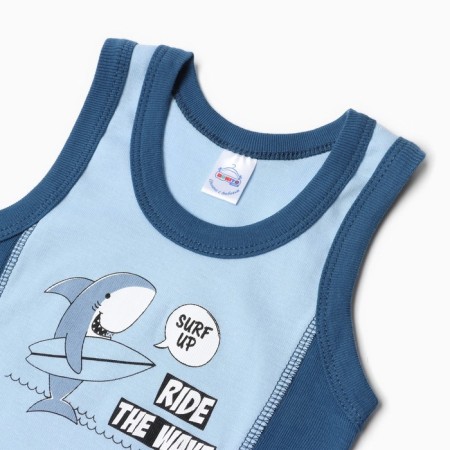 A set for a boy (T -shirt, panties), blue color, height 104 cm-1