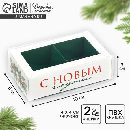 Box for 2 sweets with cells "New Year's botanist", 10 x 6 x 3 cm, New Year